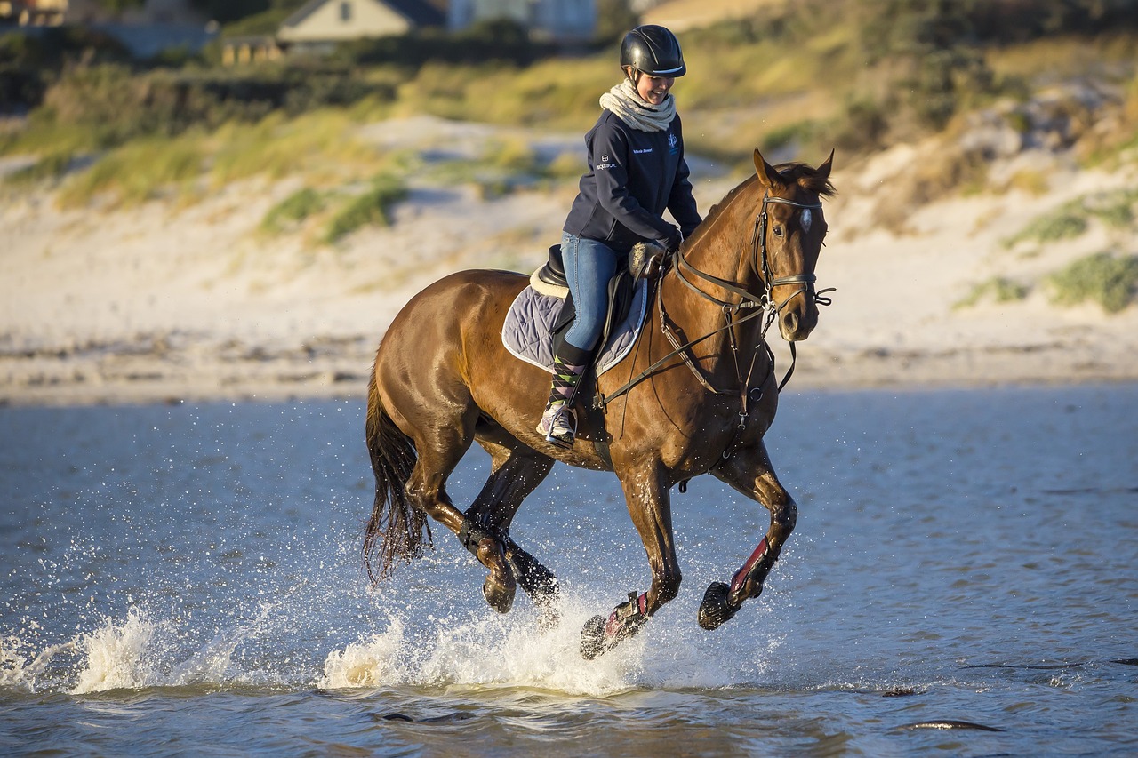 Isländer Pferde reiten » Abenteuer auf vier Hufen